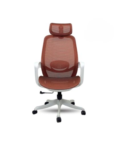 Ghế Công Thái Học Cao Cấp Giá Rẻ Full Lưới: KG – T116