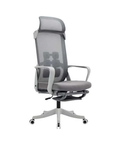 Ghế Công Thái Học Cao Cấp Giá Rẻ TPHCM: CTH622