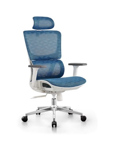 Ghế Công Thái Học Khung Trắng Full Lưới: CTH630