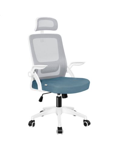 Ghế Công Thái Học Giá Rẻ: CTH107