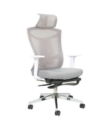 Ghế Công Thái Học Khung Trắng Lưới Xam: KG – A823