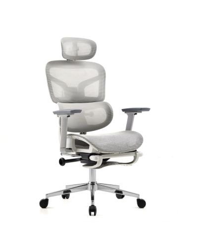 Ghế Công Thái Học Full Lưới Giá Rẻ: GCTH25