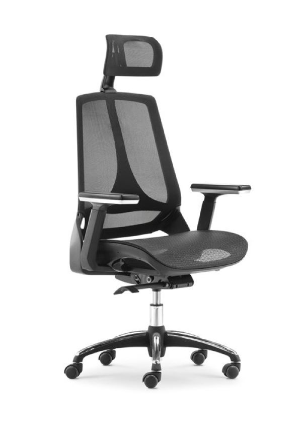 Ghế Ergonomic Chair
