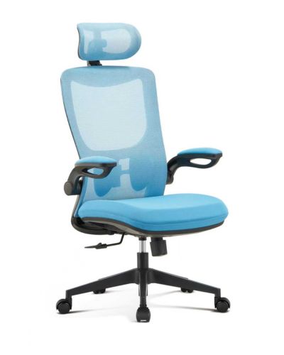 Ghế Lưới Văn Phòng Cao Cấp: Mesh01